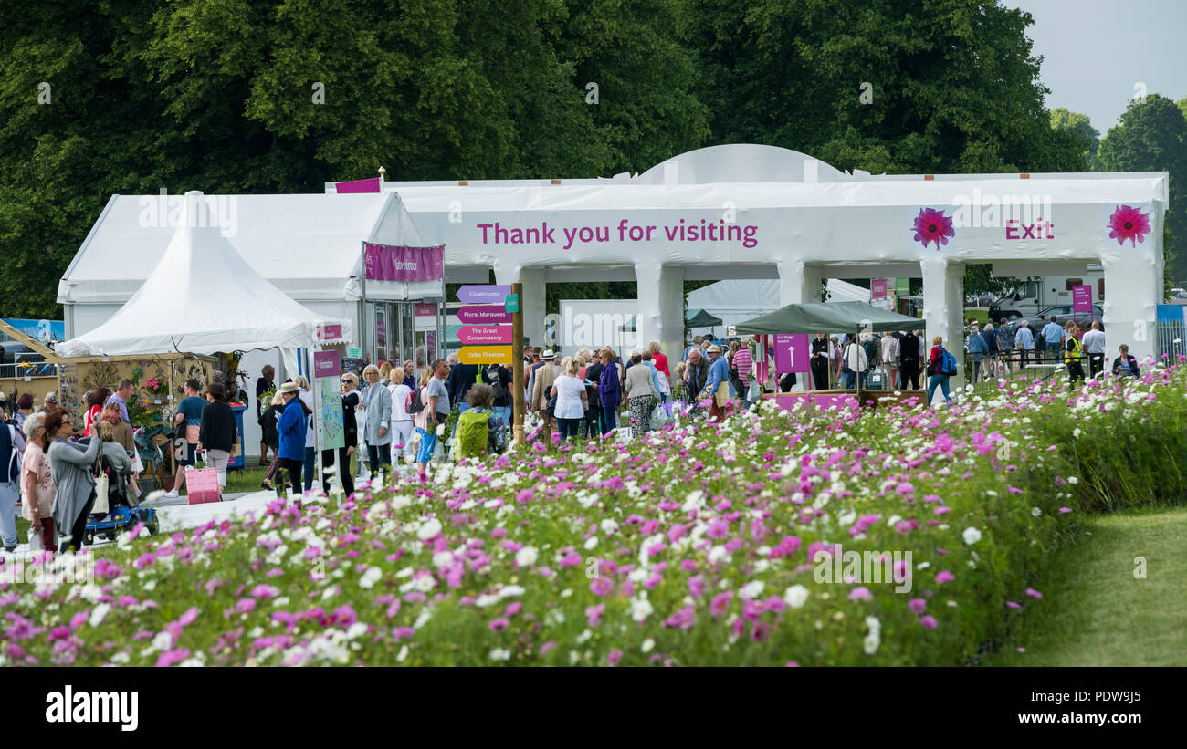 Home - Masse der Leute auf dem Weg zum Ausgang, vorbei an wunderschönen Display der Blüte cosmos-RHS Chatsworth Flower Show, Derbyshire, England, UK. Stockfoto