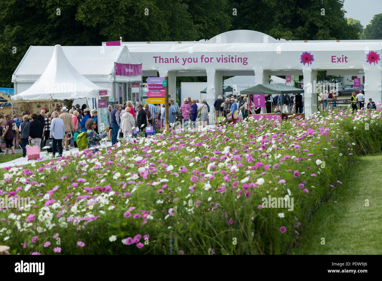 Home - Masse der Leute auf dem Weg zum Ausgang, vorbei an wunderschönen Display der Blüte cosmos-RHS Chatsworth Flower Show, Derbyshire, England, UK. Stockfoto