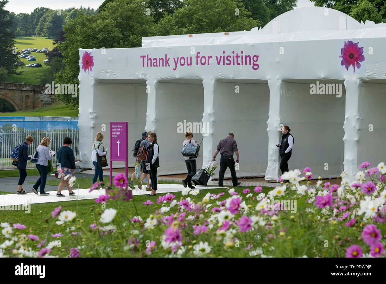 Home Zeit - Menschen auf dem Weg zum Ausgang, vorbei an wunderschönen Display der Blüte cosmos-RHS Chatsworth Flower Show, Derbyshire, England, UK. Stockfoto