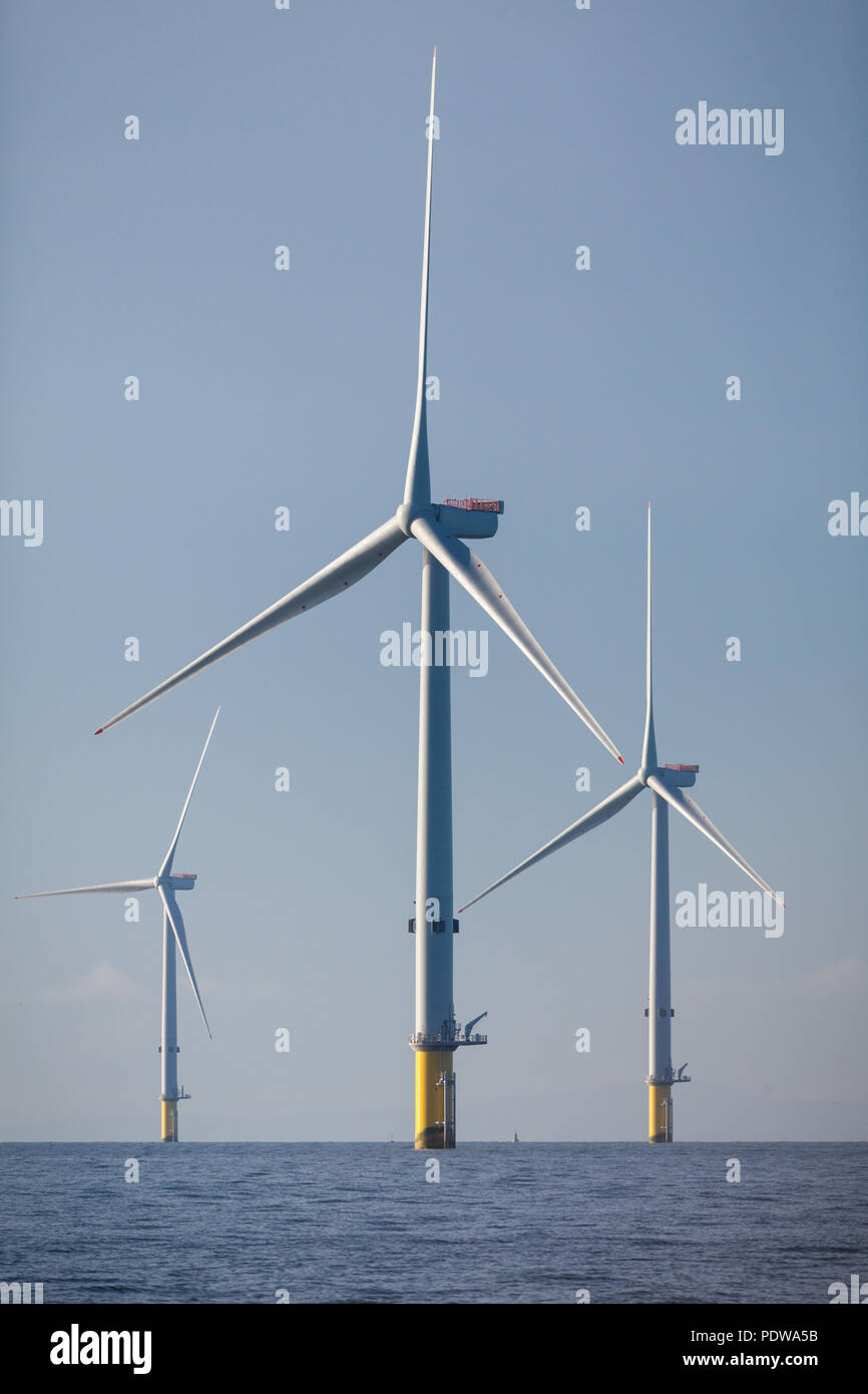 MHI Vestas V 164-8.0 MW Windenergieanlagen auf dem Walney Erweiterung Offshore-windpark, der größten Offshore-Windpark der Welt. Die Anlagen sind eine der leistungsfähigsten Anlagen in der Welt Stockfoto