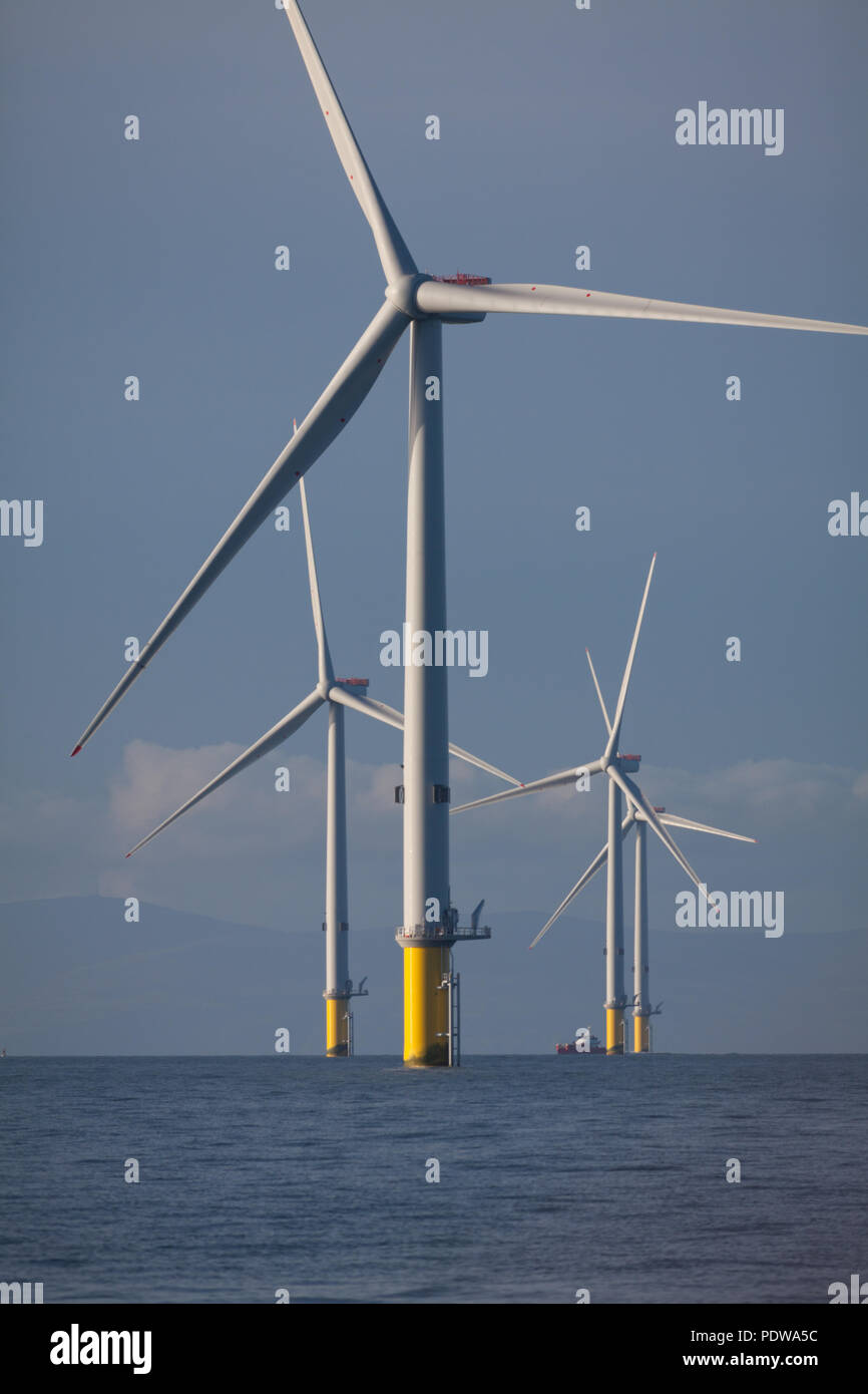 MHI Vestas V 164-8.0 MW Windenergieanlagen auf dem Walney Erweiterung Offshore-windpark, der größten Offshore-Windpark der Welt. Die Anlagen sind eine der leistungsfähigsten Anlagen in der Welt Stockfoto