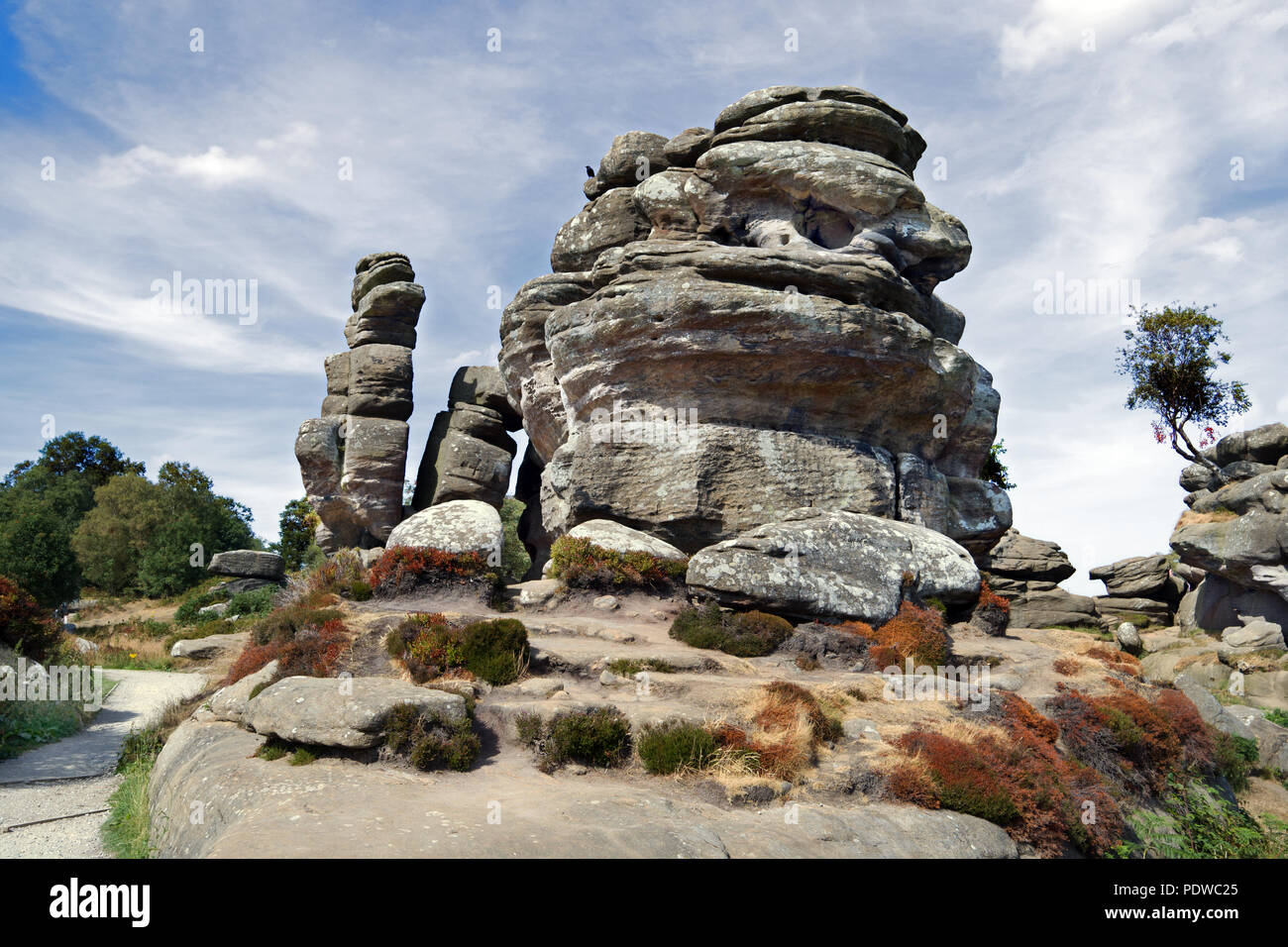Brimham Rocks ist eine beeindruckende Sammlung von natürlichen Mühlstein Felsformationen in North Yorkshire, die von der National Trust verwaltet. Stockfoto