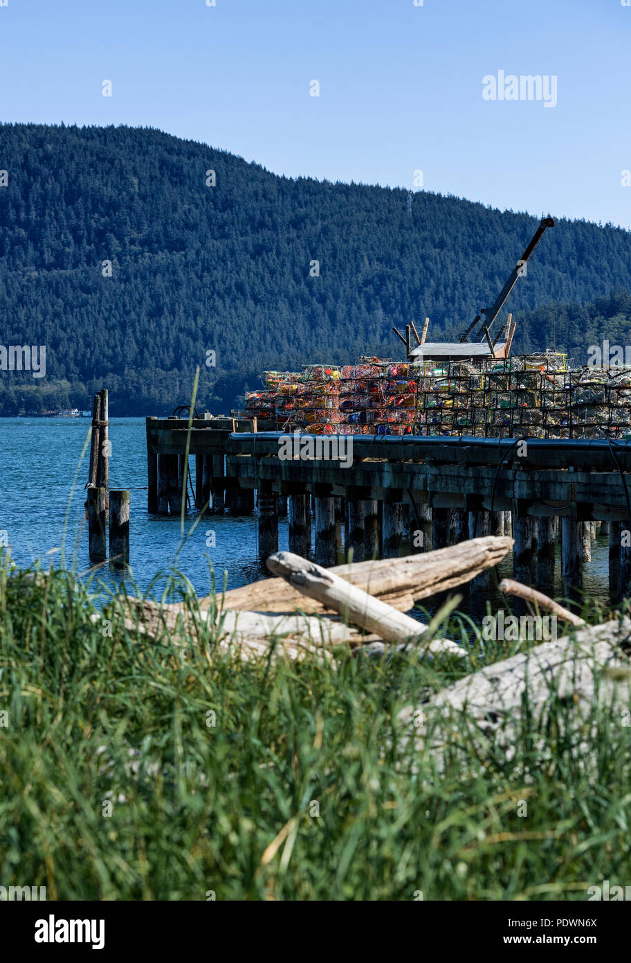 Crab fallen auf einem Dock gestapelt, Stachelbeere, Bellingham, Washington, USA. Stockfoto