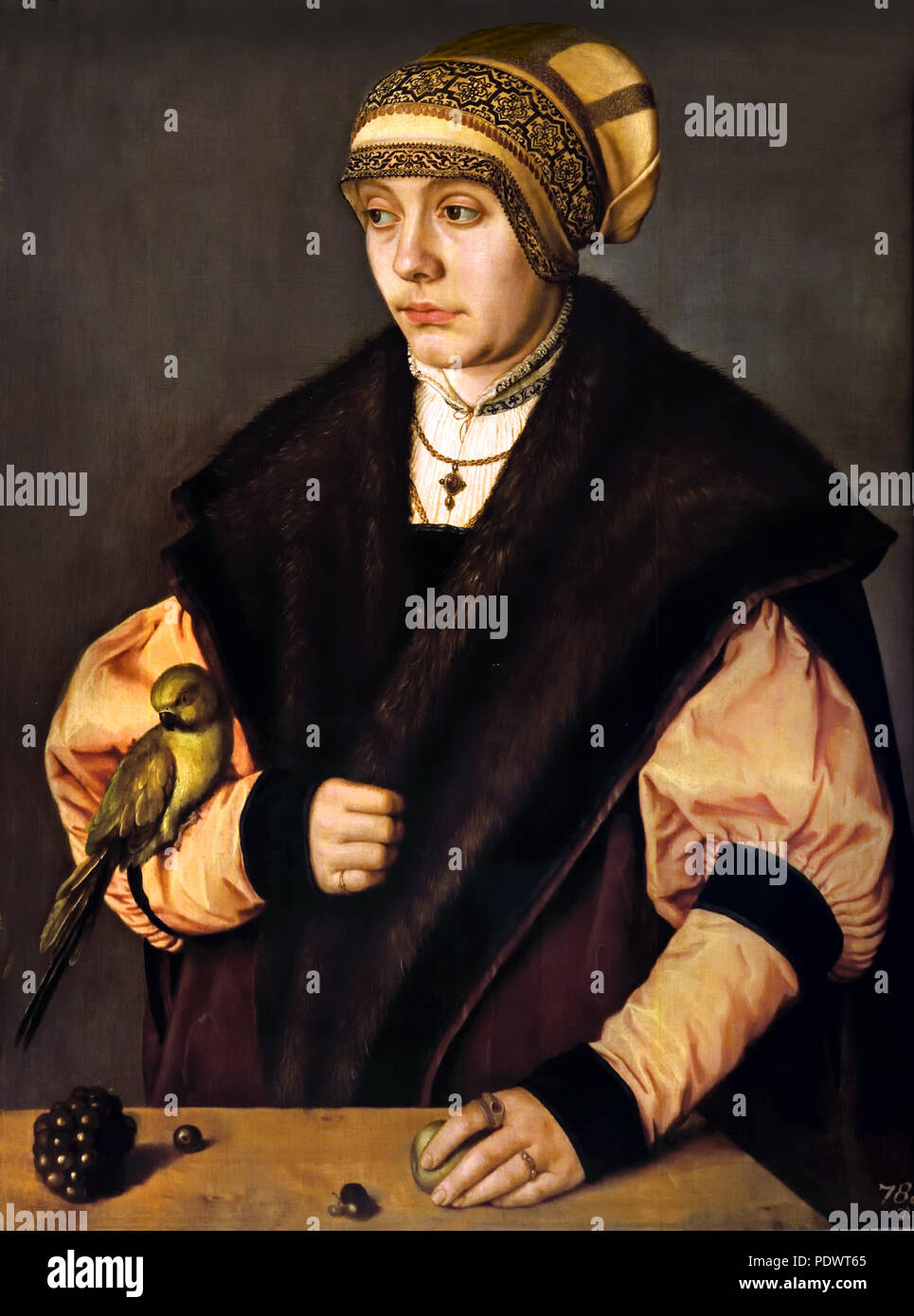 Frau mit Papagei 1529 Barthel Beham 1502 - 1540 Deutscher Deutschland Stockfoto