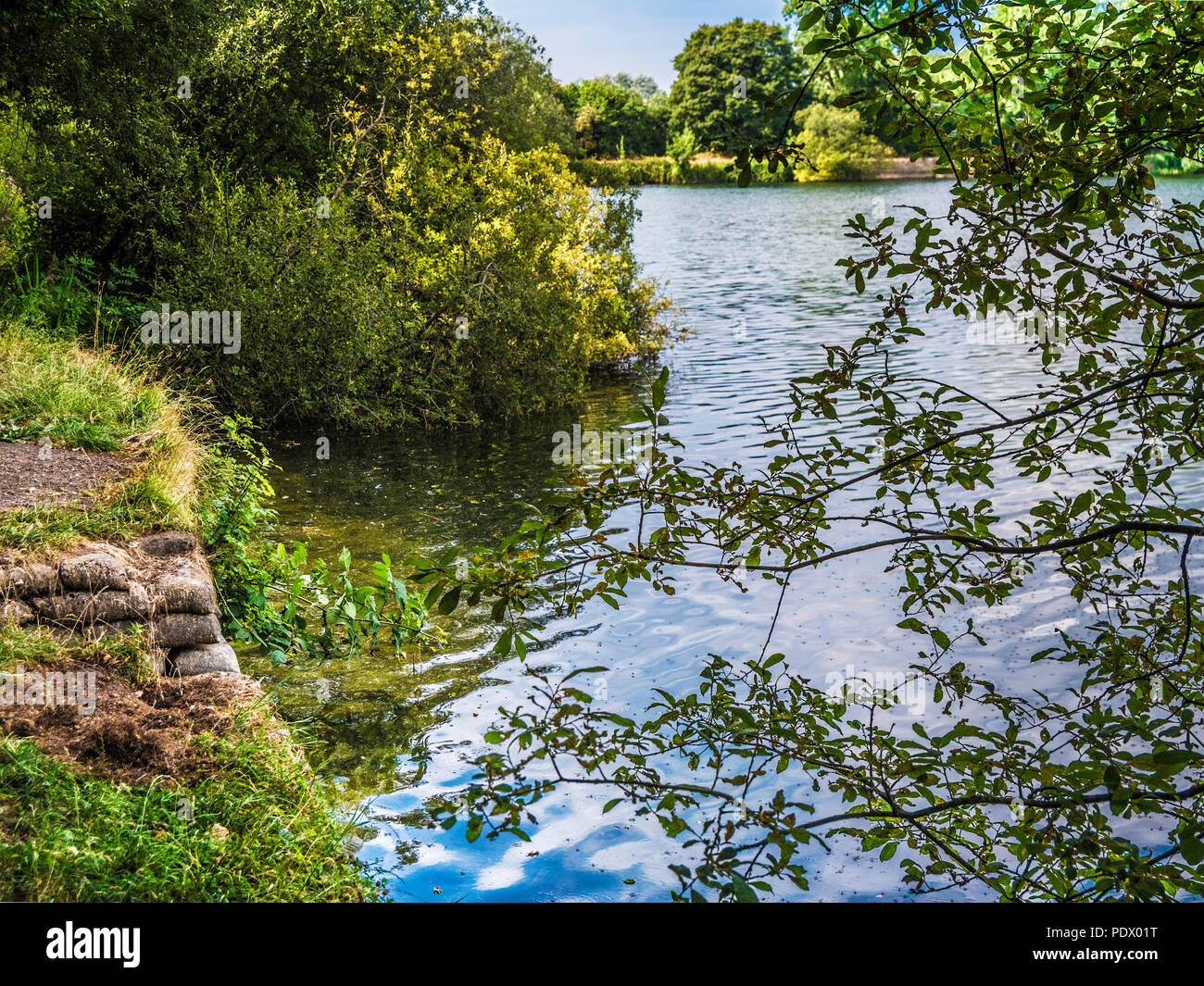 Ein Blick auf den See am Wiehern Bridge Country Park in Gloucestershire. Stockfoto