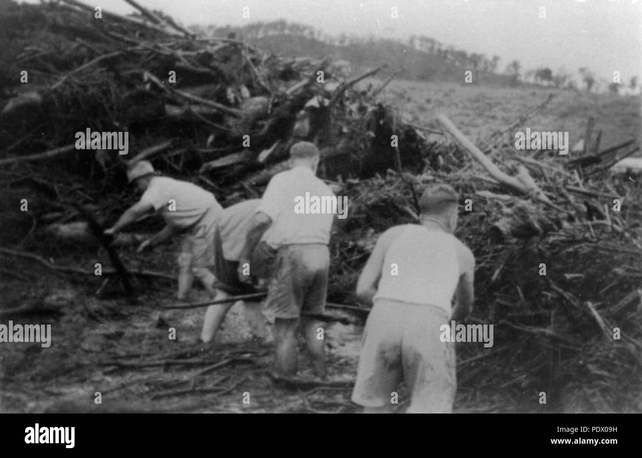 232 StateLibQld 1 152307 Clearing Flut von Rückständen aus dem Mary River Bridge, Kenilworth, 1934 Stockfoto