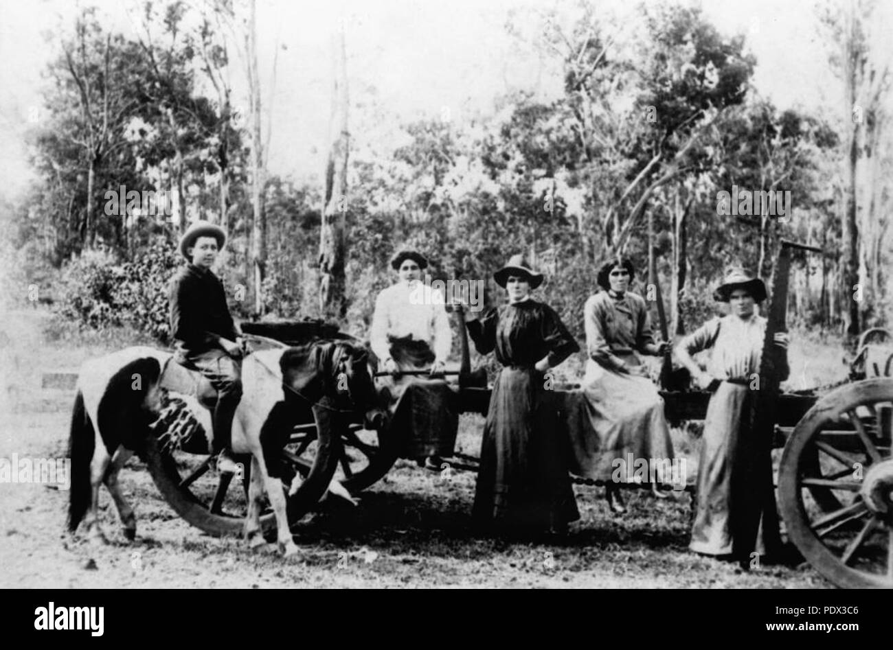 247 StateLibQld 1 190687 Holz Arbeiter Schwestern aus der Familie Lynch, dargestellt mit Jim Hunter auf seine Paint Pony, Ca. 1900 Stockfoto