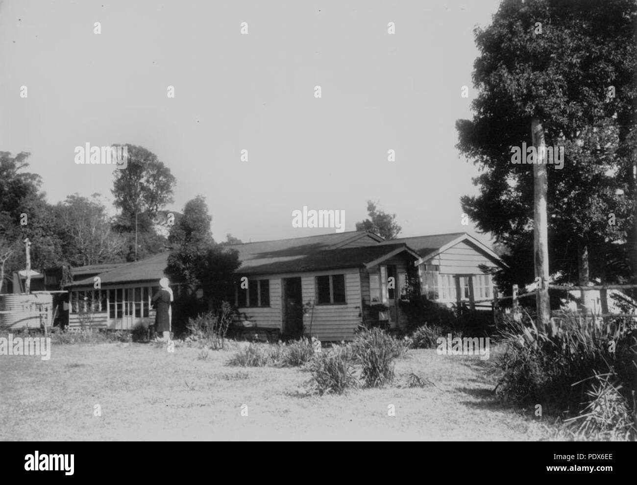 261 StateLibQld 1 293563 Wohnung auf Tamborine Mountain, 1950 Stockfoto
