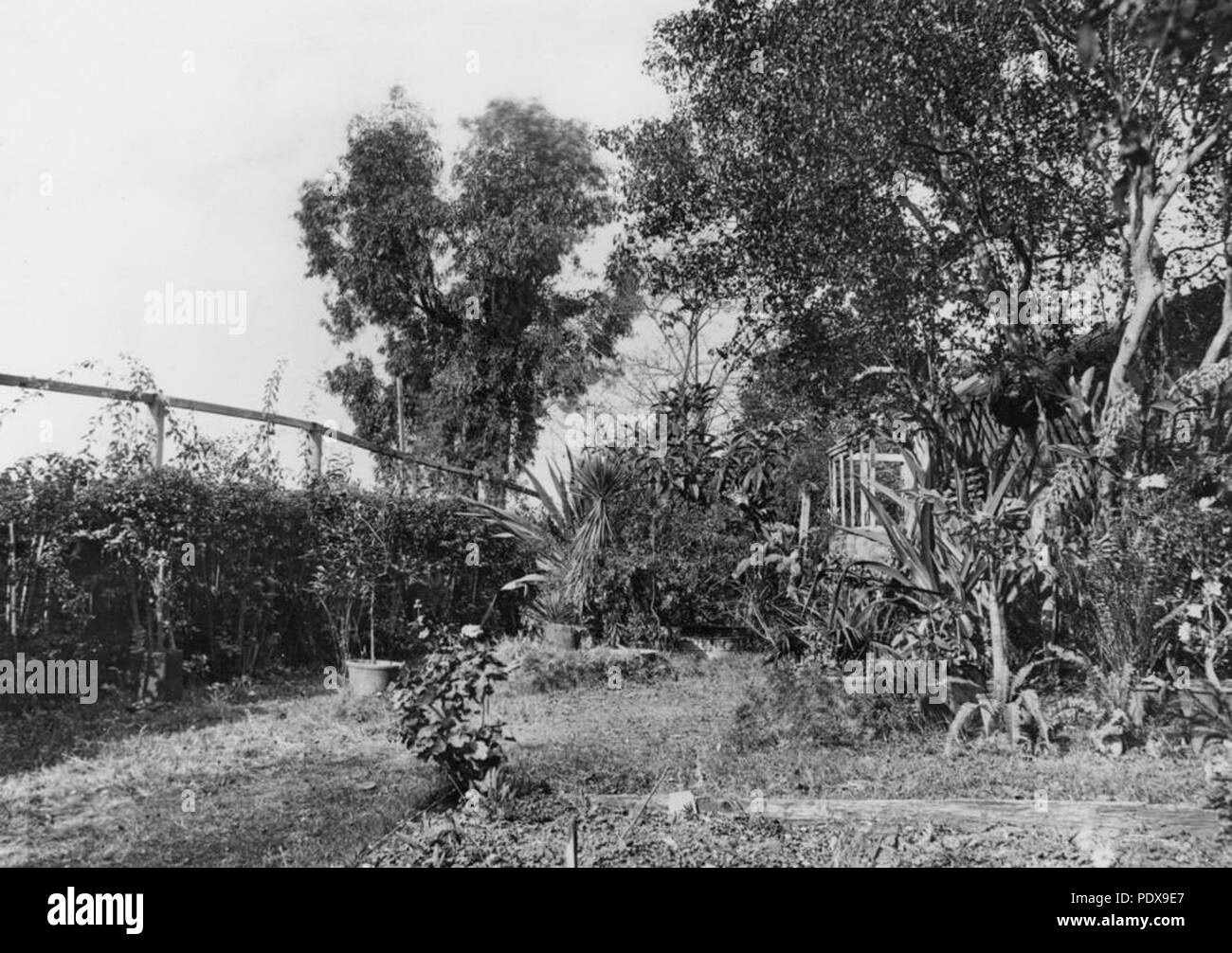 276 StateLibQld 190008 Abschnitt des unteren Garten in Montpelier, Bowen Hills, Ca. 1927 Stockfoto