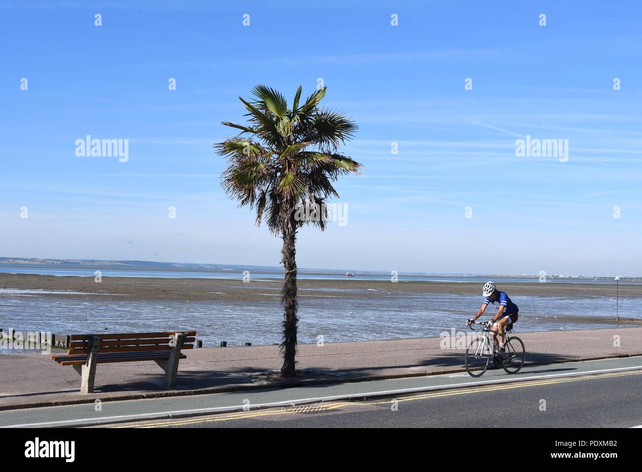 Southend-on-Sea, Essex, Großbritannien. 11 August, 2018. UK Wetter: Warm Start in den Tag in Southend - einen Blick auf einen Mann, Radfahren entlang des Meeres Credit: Ben Rektor/Alamy leben Nachrichten Stockfoto