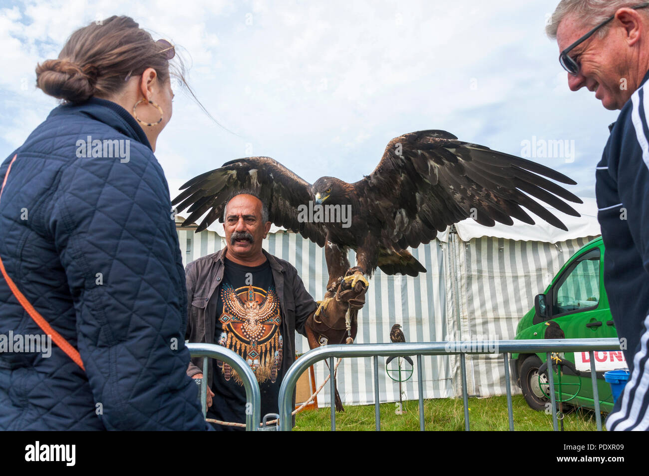 Ardara, County Donegal, Irland Wetter. 11. August 2018. Pedro Soltani, Gründer von North West Raptor Rescue Center demonstriert mit einem goldenen Adler, jetzt in der Wildnis zu Donegal wieder eingeführt, die auf dem jährlichen Ardara Landwirtschaft zeigen. Credit: Richard Wayman/Alamy leben Nachrichten Stockfoto