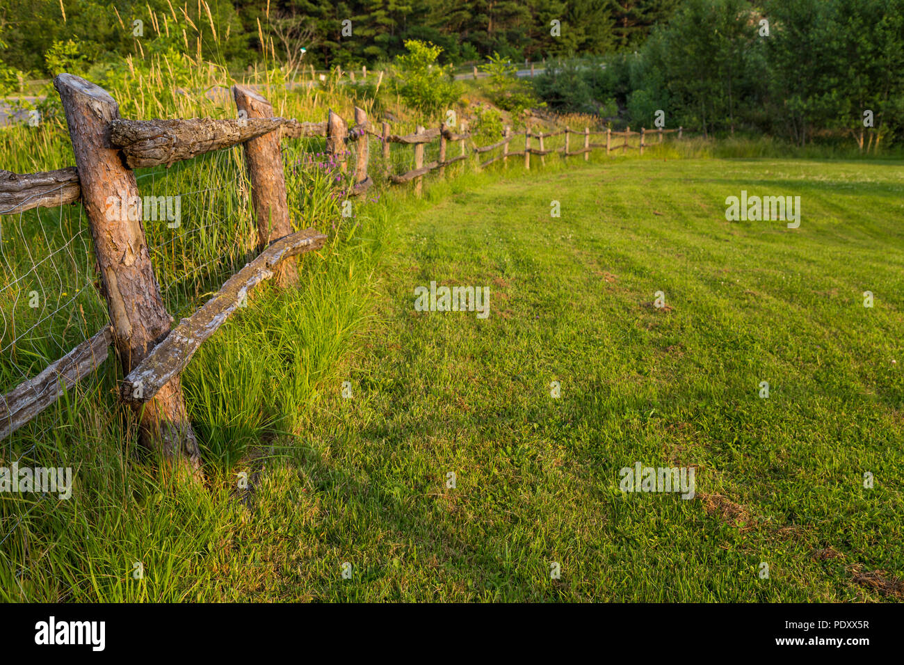 Land Zaun neben hohen Gras in der Nähe der Weide. Stockfoto