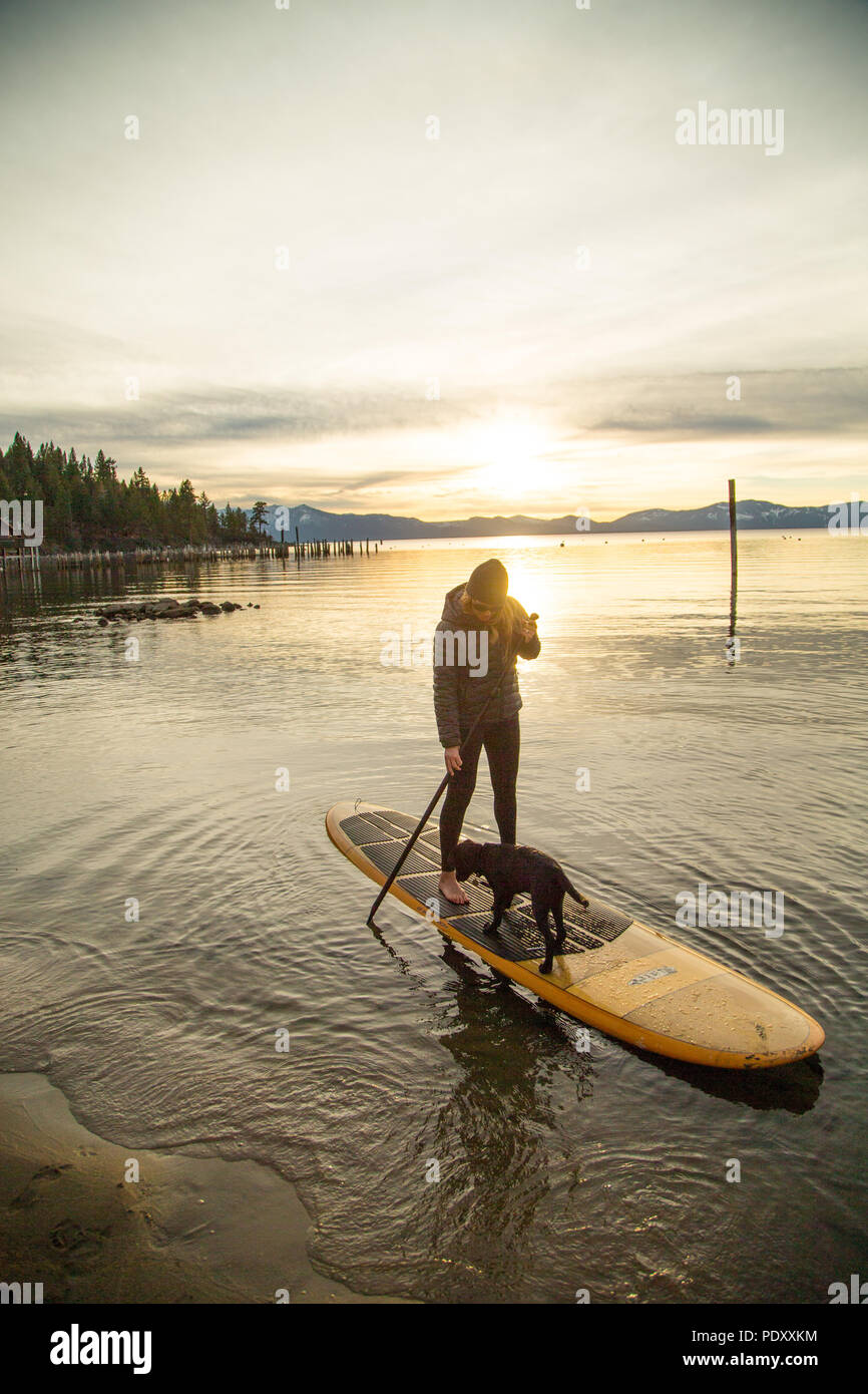 Frau mit Hund auf Paddle Board bei Sonnenuntergang, Lake Tahoe, Glenbrook, Nevada, USA Stockfoto