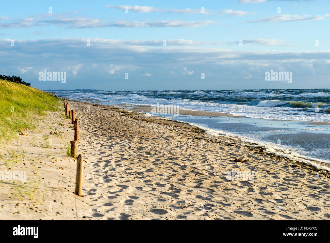 Ostseeküste Prerow Stockfoto