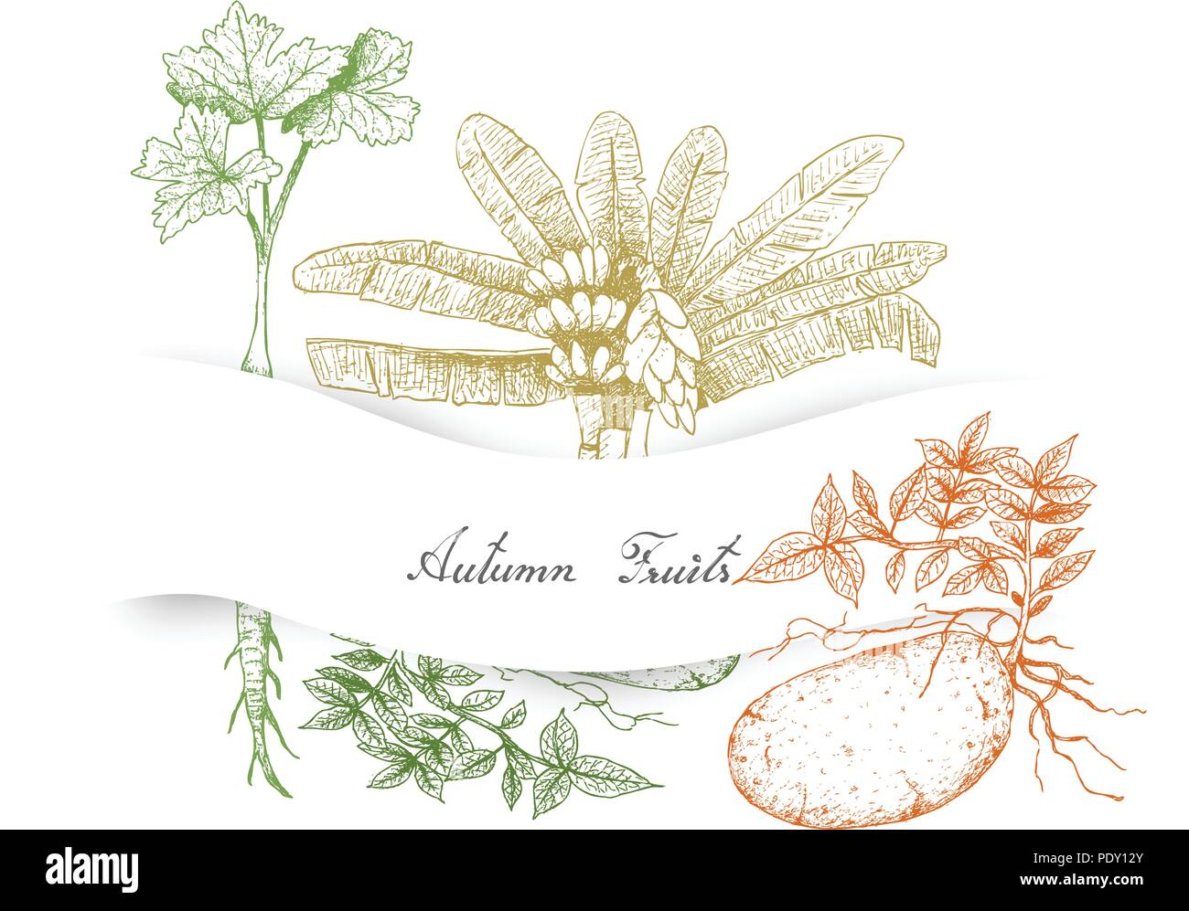 Herbst Gemüse und Kräuter, Illustration Hand gezeichnete Skizze der ...