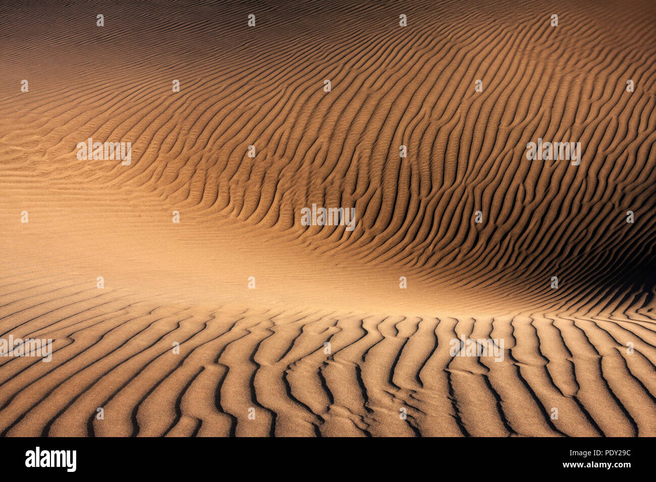 Dünen von Maspalomas Dunas de Maspalomas, Strukturen in den Sand, Naturschutzgebiet, Gran Canaria, Kanarische Inseln, Spanien Stockfoto