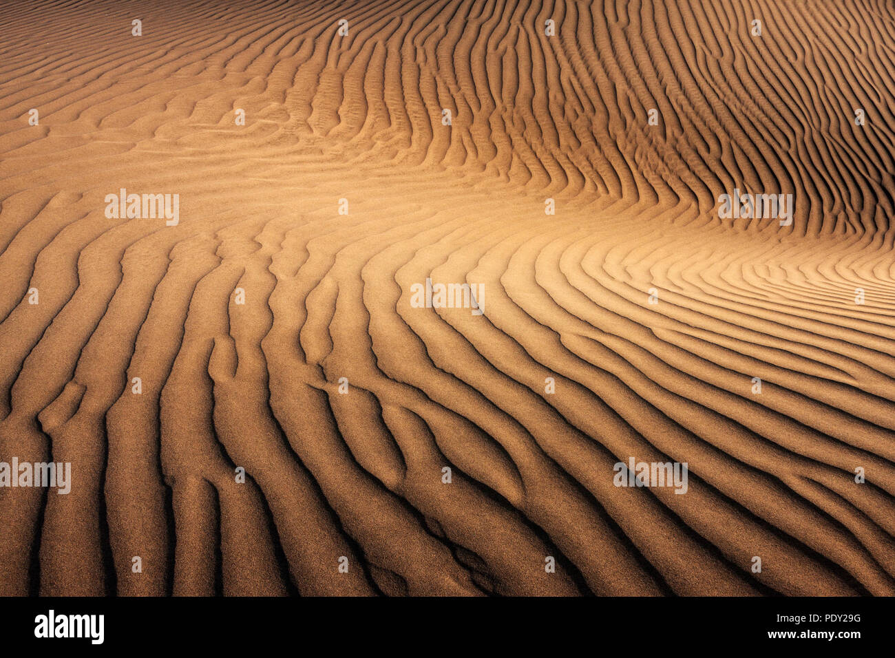 Dünen von Maspalomas Dunas de Maspalomas, Strukturen in den Sand, Naturschutzgebiet, Gran Canaria, Kanarische Inseln, Spanien Stockfoto