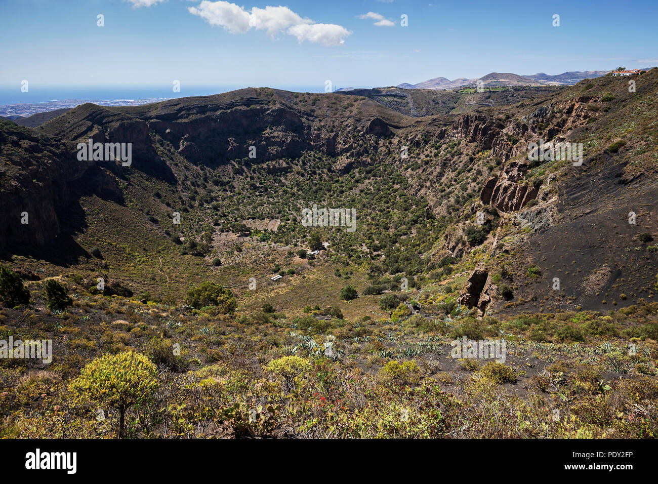 Blick in den Vulkankrater Caldera de Bandama, Naturpark, in der Nähe von Tafira, Gran Canaria, Kanarische Inseln, Spanien Stockfoto