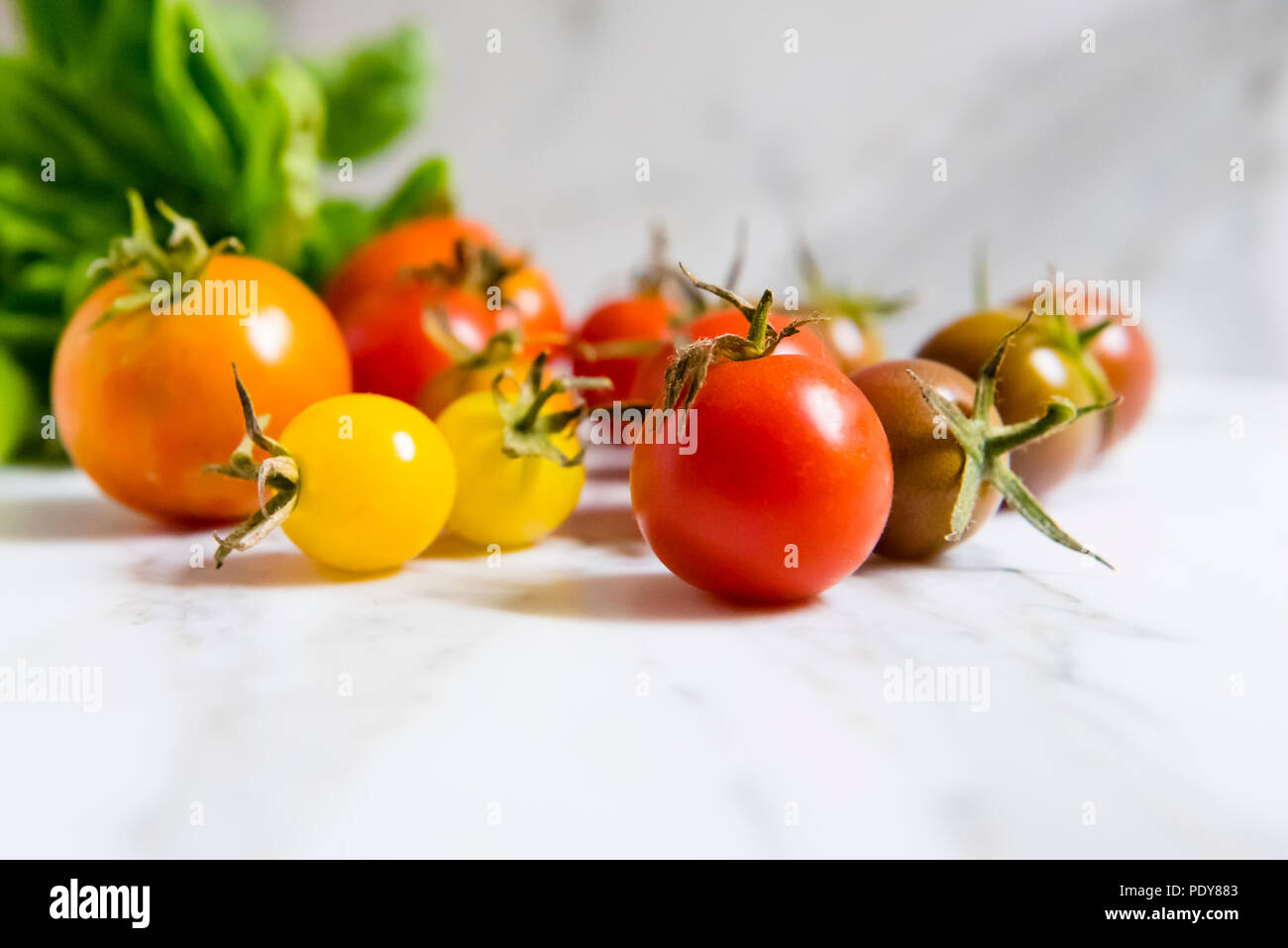 Vielzahl von selbst angebauten heirloom Tomaten, einschließlich Tommy Toe und schwarze Kirsche mit Basilikum im Hintergrund auf Marmor Küche Arbeitsplatte, Seitenansicht Stockfoto