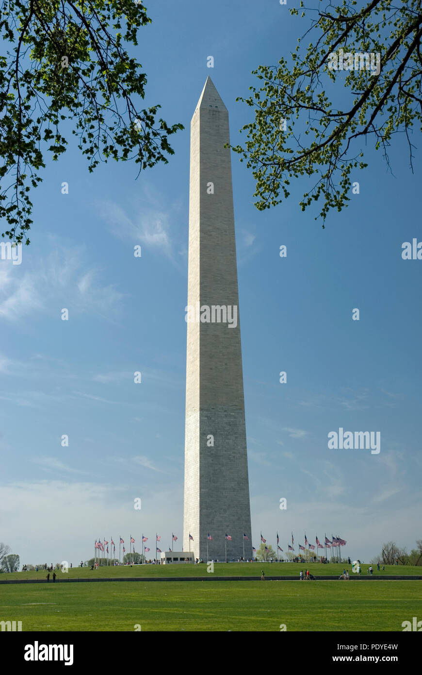 Washington Monument, Wahrzeichen, Washington D.C. fröhliche Blossom Festival Stockfoto