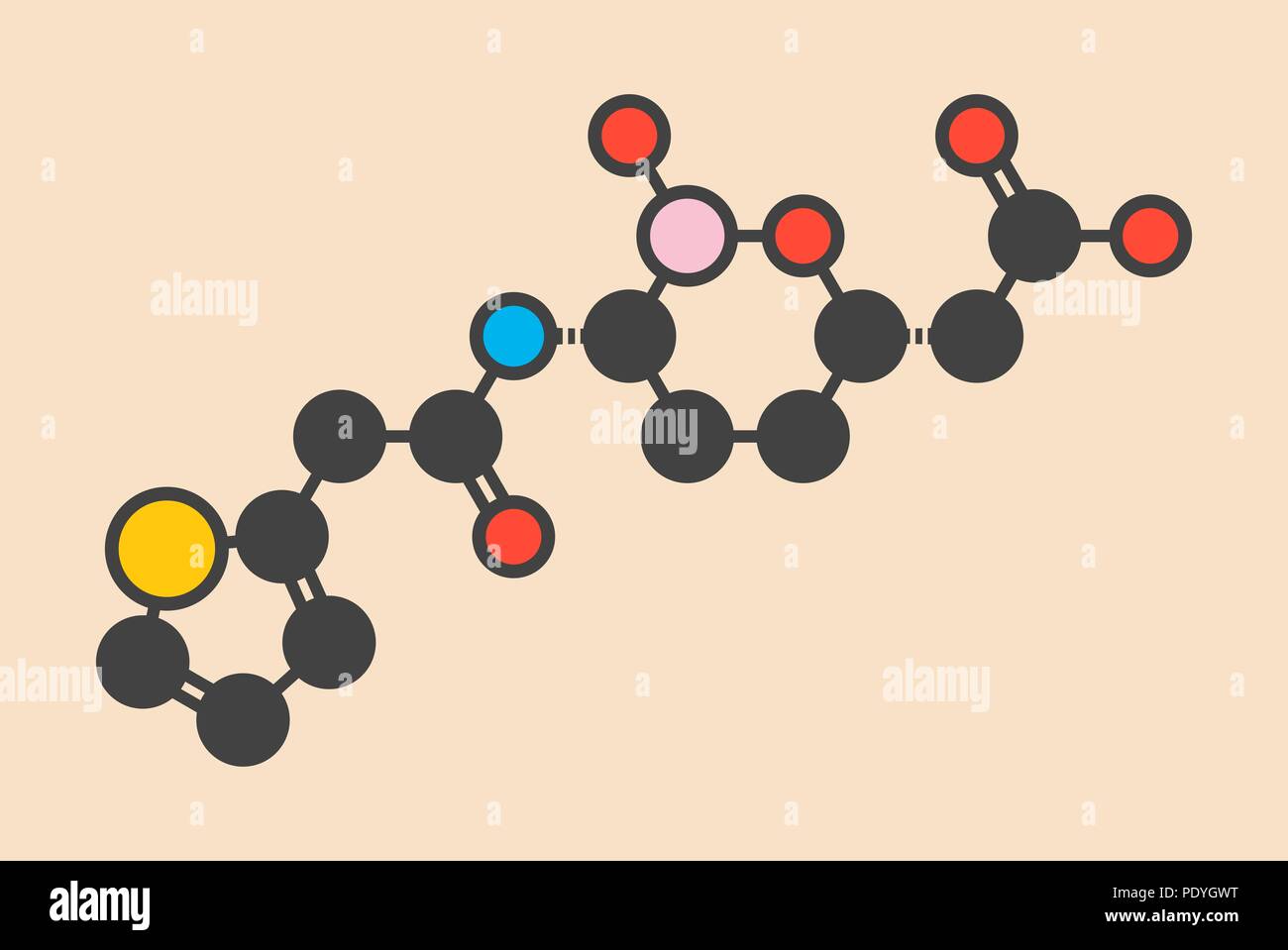 Vaborbactam Droge Molekül. Beta-Lactamase-Inhibitor mit meropenem Verschlechterung der Letzteren durch carbapenemase Enzyme zu blockieren, verwaltet. Stilisierte Skelett Formel (die chemische Struktur): Atome werden gezeigt, wie farbige Kreise: Wasserstoff (versteckt), Kohlenstoff (grau), Stickstoff (blau), Sauerstoff (rot), Schwefel (Gelb), Bor (rosa). Stockfoto