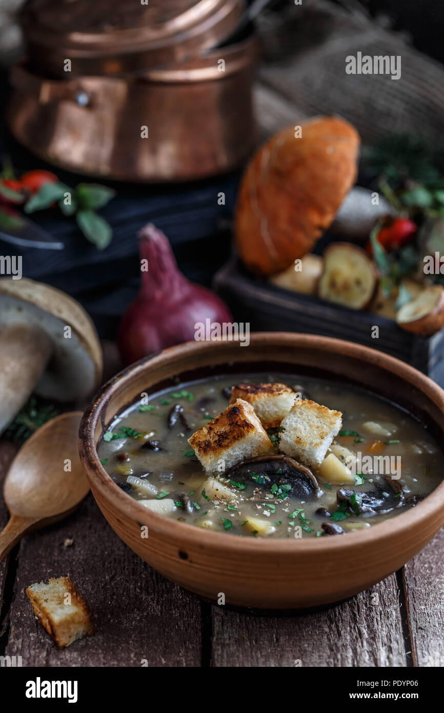 Pilzsuppe in Keramik Schüssel mit einem Kupfer pan und Pilz im Hintergrund, dunkle Foto. Stockfoto