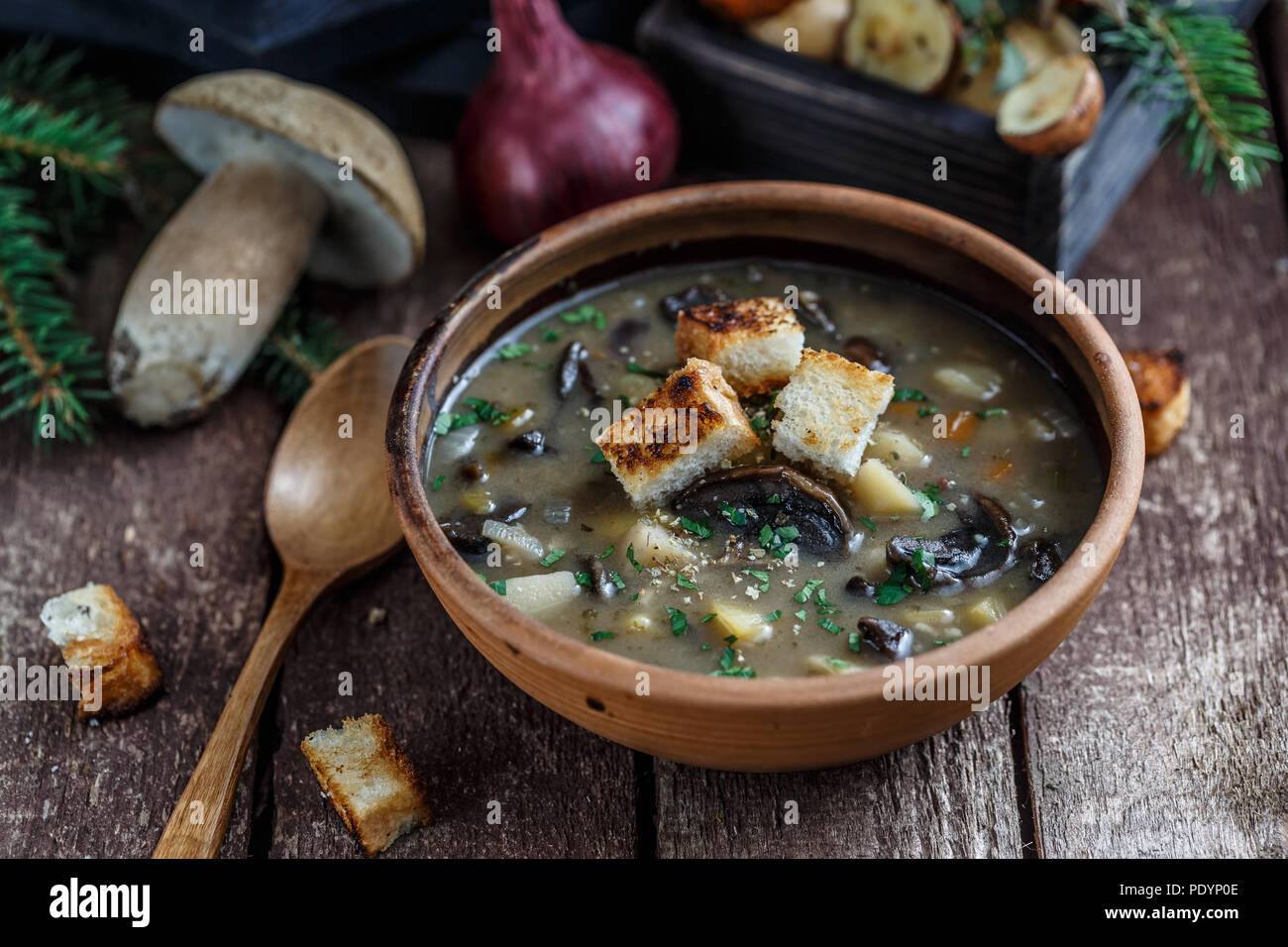 Pilzsuppe in Keramik Schüssel mit einem Kupfer pan und Pilz im Hintergrund, dunkle Foto. Stockfoto