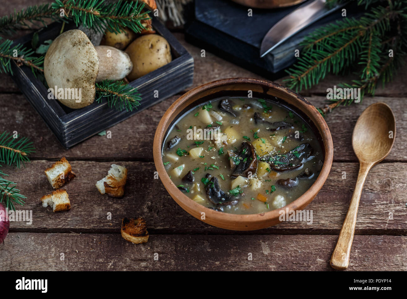 Pilzsuppe in Keramik Schüssel mit einem Kupfer pan und Pilz im Hintergrund, dunkle Foto. Stockfoto