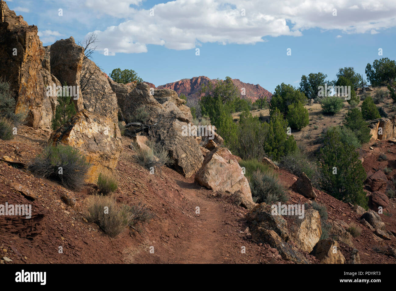 AZ 00250-00 ... ARIZONA - Weg im Labyrinth Rock Kunst in der Paria Canyon - Vermilion Cliffs Wilderness mit Coyote Buttes in der Ferne. Stockfoto