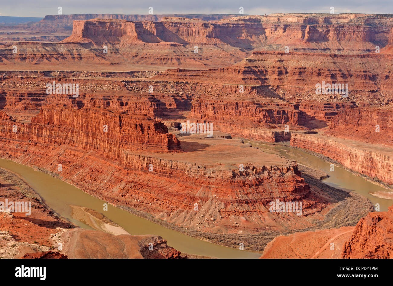 Am frühen Morgen Licht am Dead Horse Point auf dem Colorado River in Utah Stockfoto