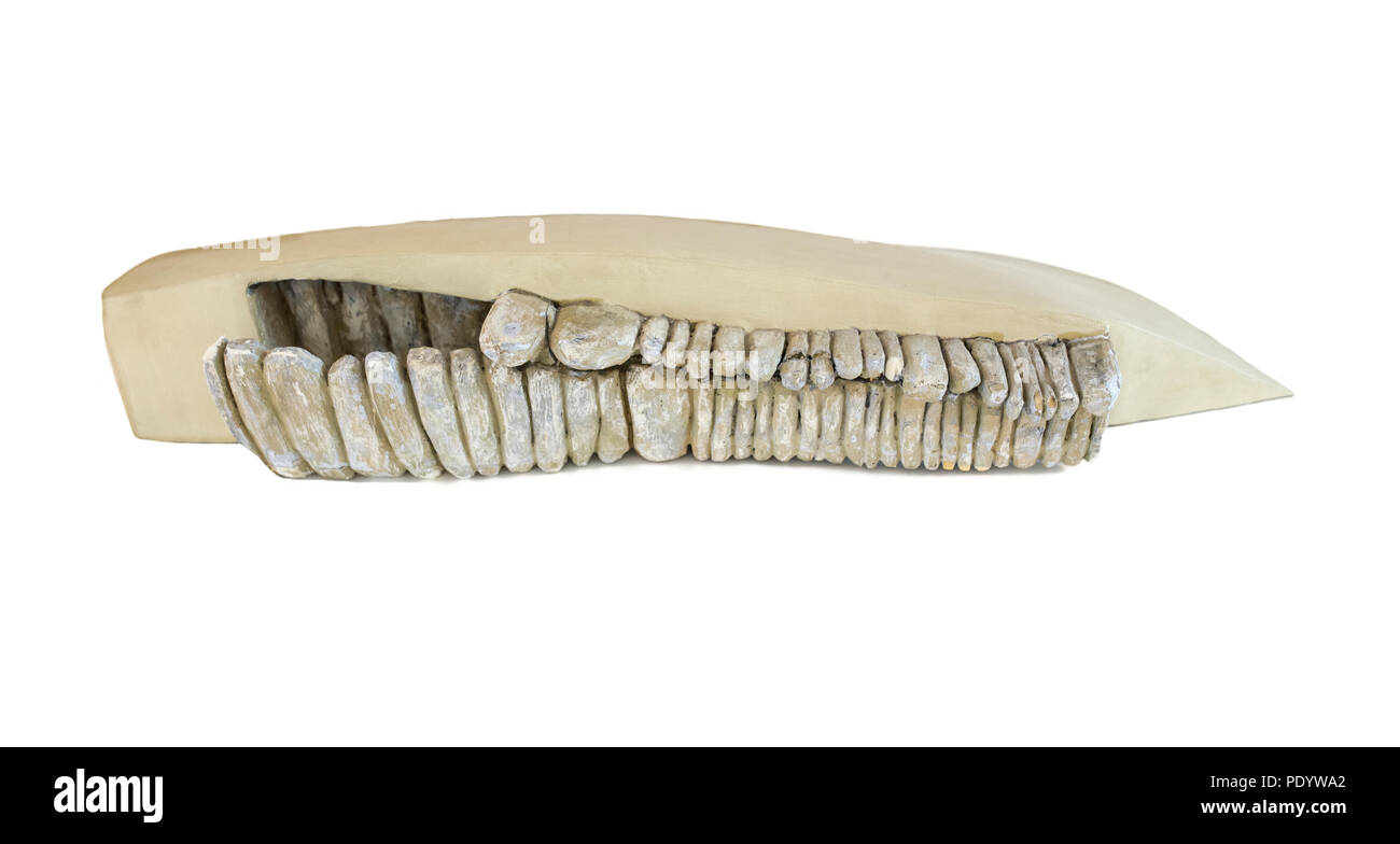 Huelva, Spanien - Juli 02, 2018: Dolmen de Soto Modell im Archäologischen Museum von Huelva, Andalusien, Spanien Stockfoto