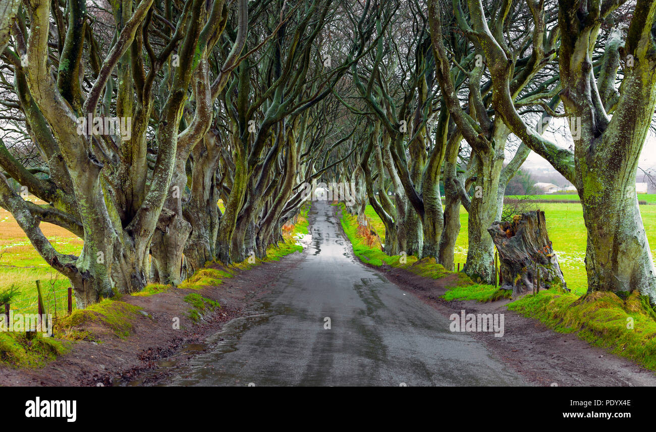 Schöne Landschaften und Ruinen von Irland und Nordirland atemberaubend malerischen scapes der irischen Landschaft. Stockfoto