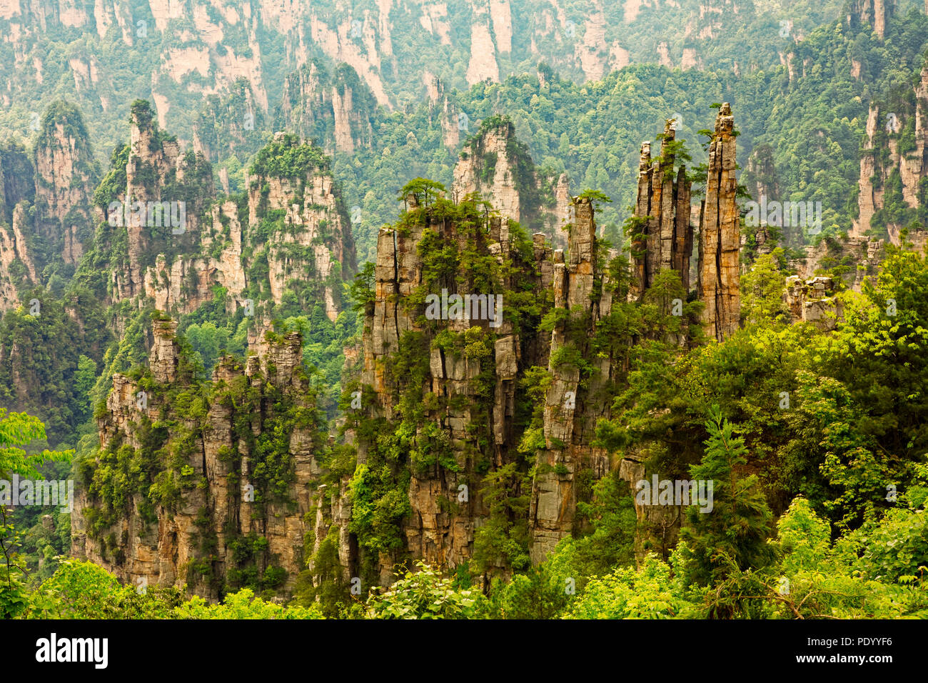 Felsformationen in den Bergen Tianzi, Teil der Zhangjiajie National Forest Park, Hunan China Stockfoto
