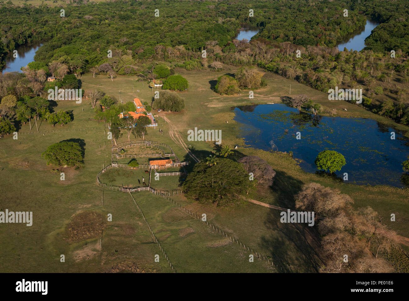 Eine Fazenda (Ranch) im südlichen Pantanal während der trockenen Jahreszeit. Stockfoto