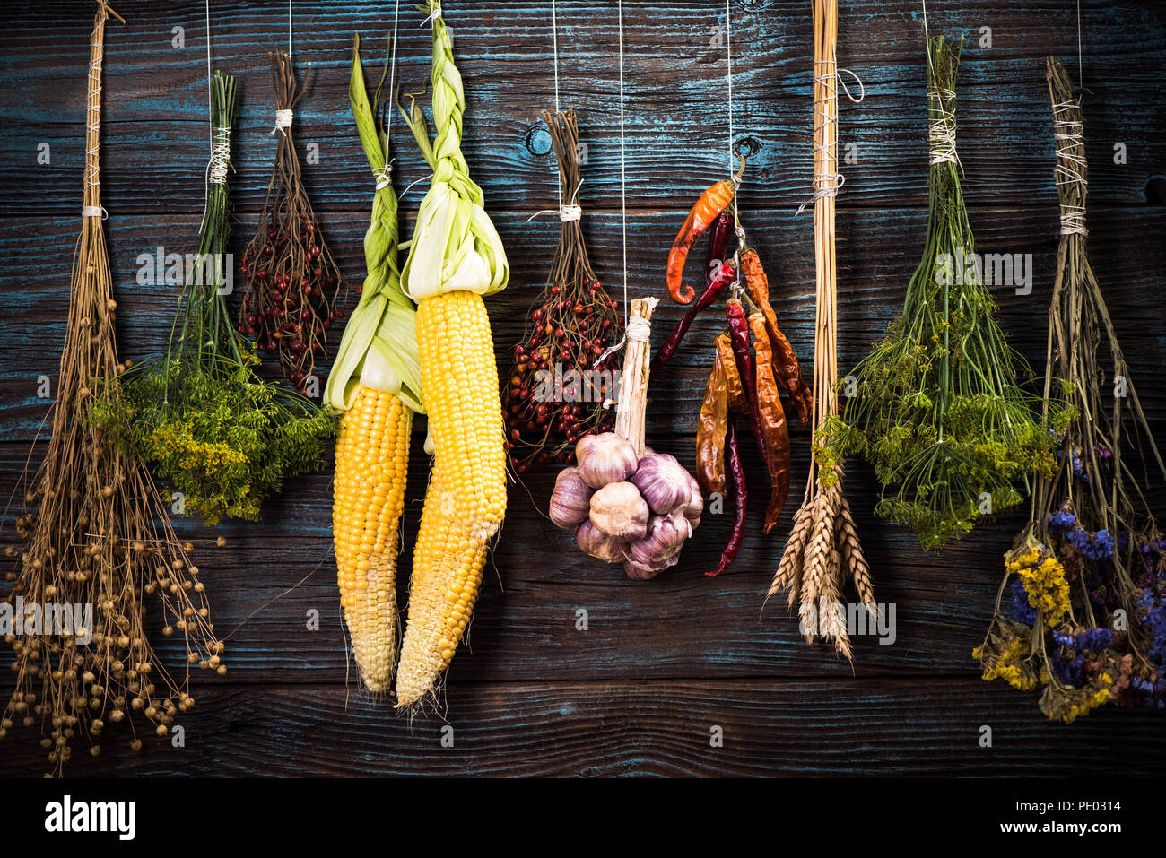 Herbst Gemüse auf Holz Wand, Ernte Hintergrund Stockfoto