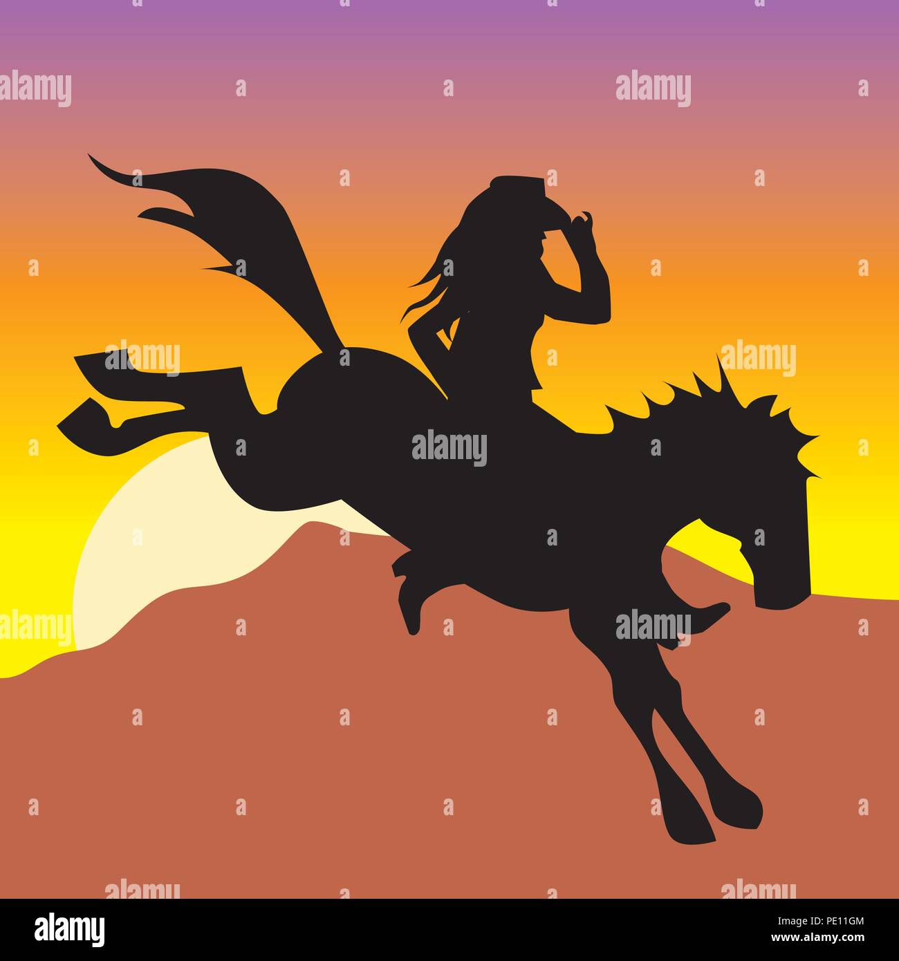 Cowgirl ride Wild Horse Stock Vektor