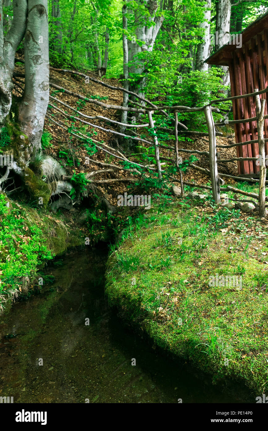 Wald Frühling Landschaft mit einem kleinen Gebirgsbach in der Mitte der Buchenwälder. Der Strom wird durch Zaun von Zweigen umgeben. Stockfoto