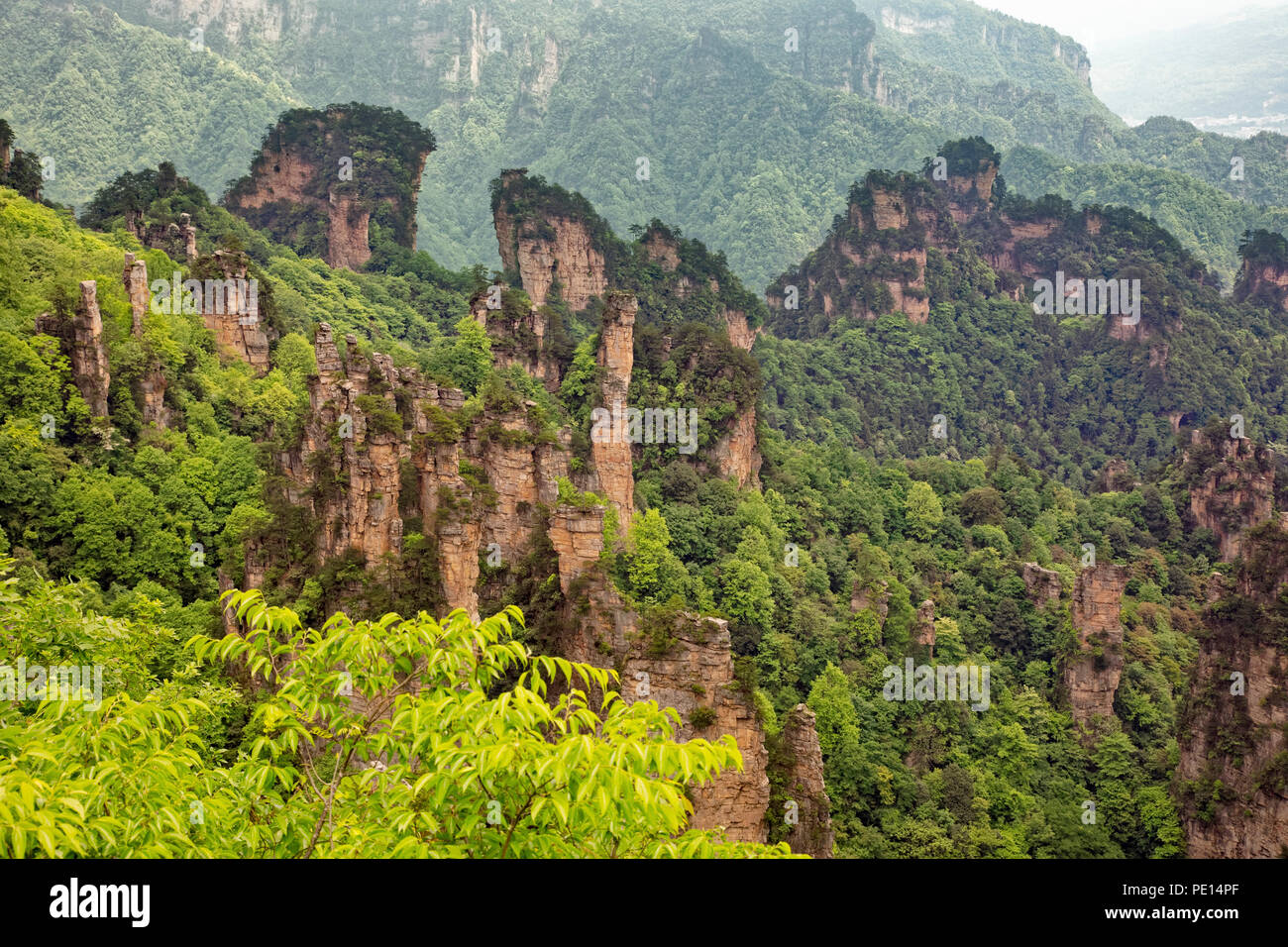 Felsformationen in den Bergen Tianzi, Teil der Zhangjiajie National Forest Park, Hunan China Stockfoto