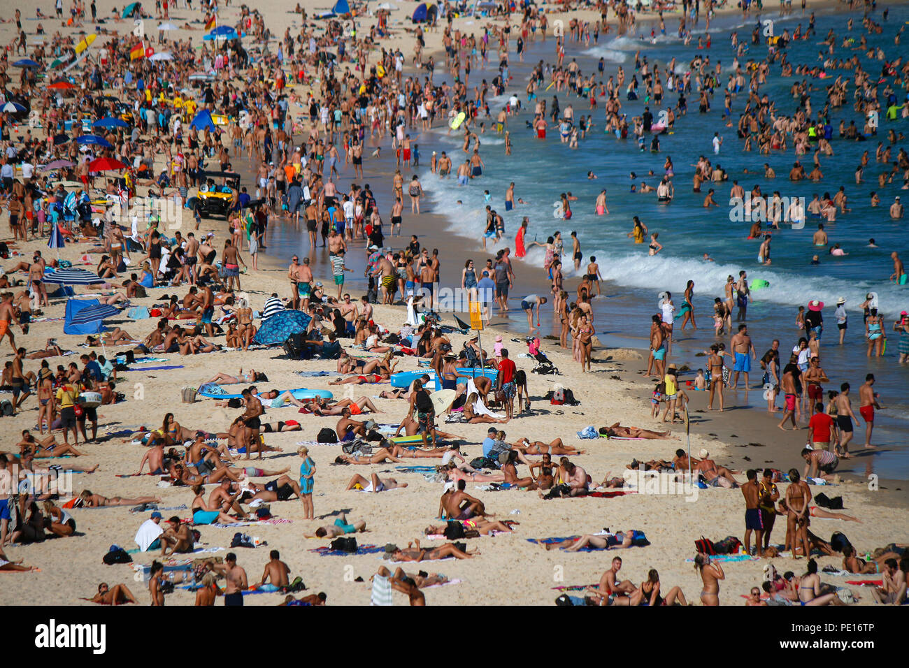 Dezember 30, 2017: Temperaturen über 35 Grad Celsius ziehen Massen von Menschen in den überfüllten Stadt Strände von Sydney, Bondi Beach, Sydney, Austral Stockfoto