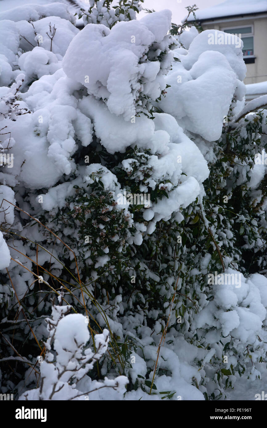 Winter und Kälte Klima Stockfoto