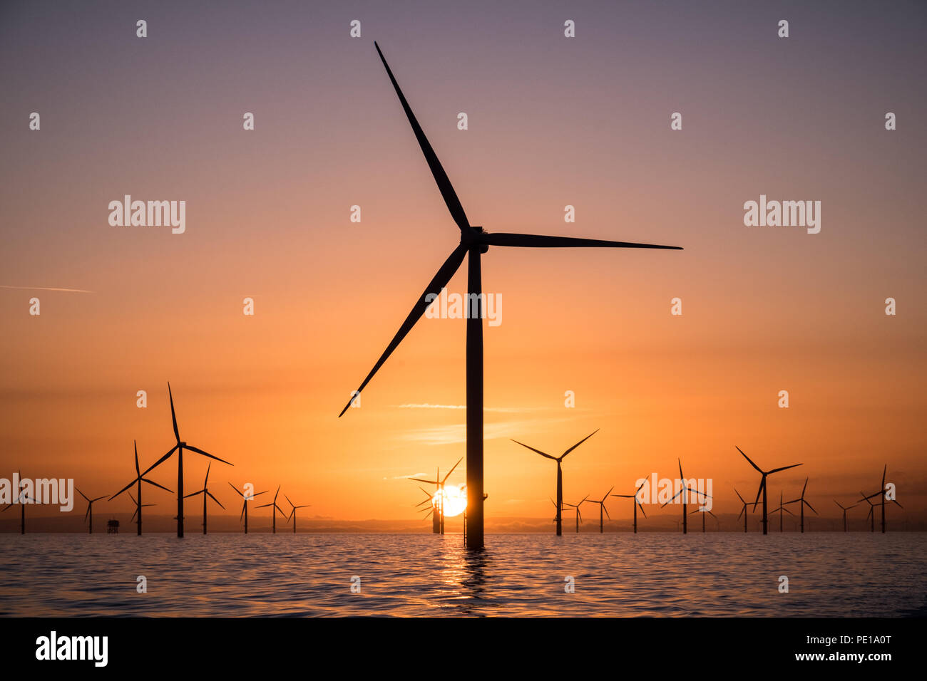 Windenergieanlagen von Walney Offshore Windpark in der Irischen See bei Sonnenaufgang Stockfoto