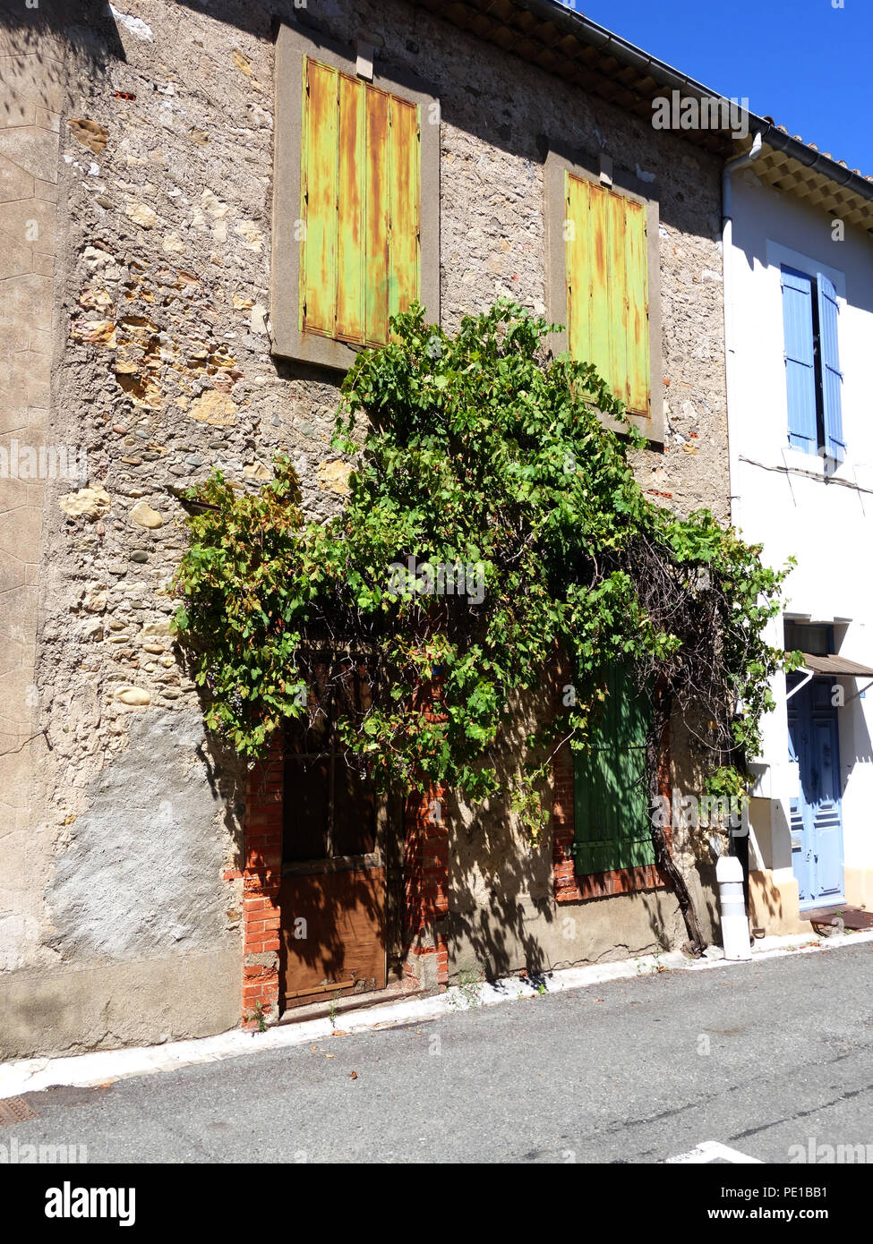 Bewachsene Haus Fassade auf Alte, leere French House in Murviel-lès-Béziers, Frankreich Stockfoto