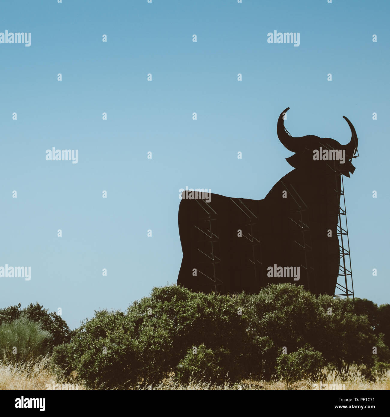 Toro Osborne, iconic Symbol von Spanien, Silhouette von Black Bull auf dem Hügel mit Green Bush im Vordergrund. Stockfoto