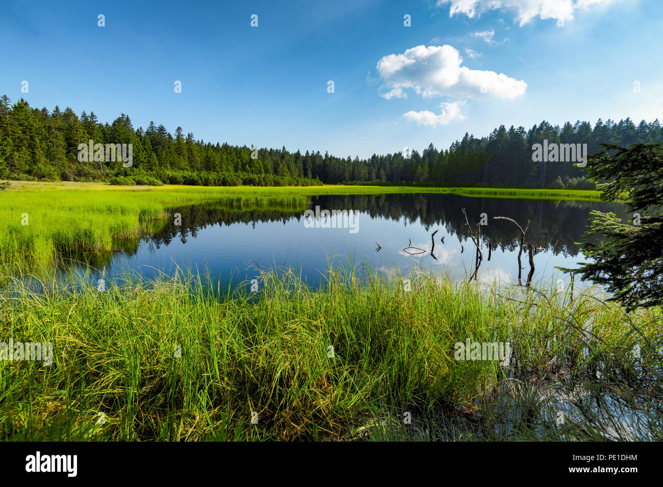 Crno jezero oder Schwarzer See, ein beliebtes Wanderziel auf Pohorje
