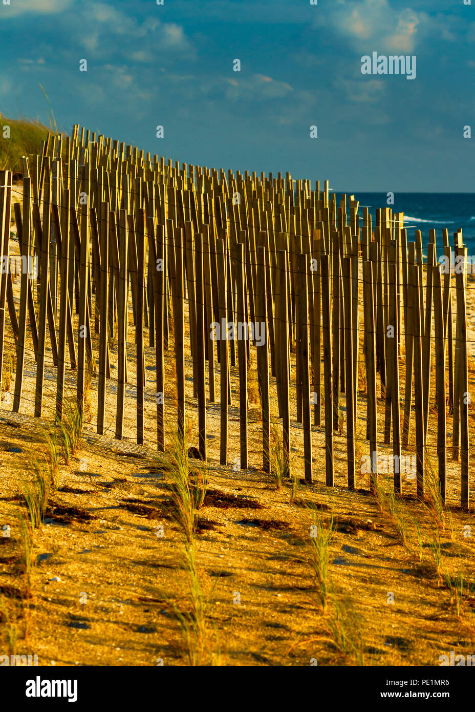 Florida Sand dune Abwehr Stockfoto