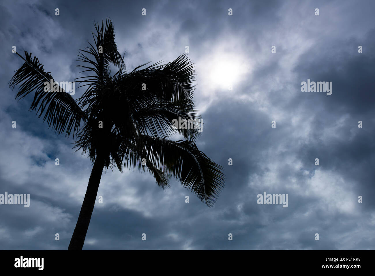 Atemberaubende Landschaften und Natur, Vulkane von der grossen Insel von Hawaii Stockfoto