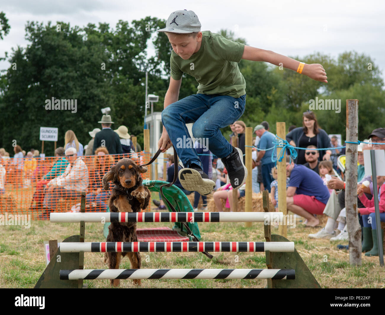 Hund, Der An Der Beweglichkeitshow Springt Stockfotos und bilder