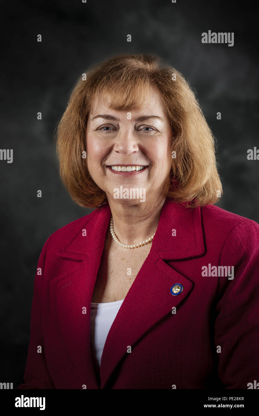 Columbus, Ohio, USA. 24 Apr, 2013. Offizielles Portrait von Ohio State Senator Gayle Manning, Bezirk 13, 130. Vollversammlung der Ohio Senat April 24, 2013 fotografiert am Ohio Statehouse. Credit: James D. finden/ZUMA Draht/Alamy leben Nachrichten Stockfoto