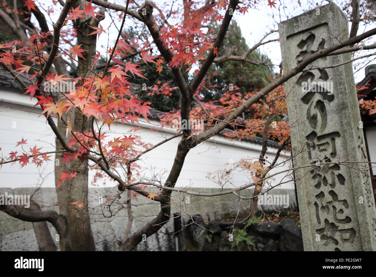 Stein und Baum am Eingang des Zenrinji (Eikando) Tempel in Kyoto, Japan. Stockfoto