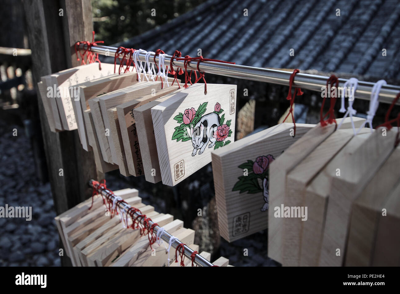 Nemuri-Neko ema; Holz Gebet boards der berühmten schlafende Katze Carving am Tōshō-gū Schrein (日光東照宮) in Nikkō, Japan. Stockfoto